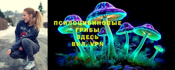 спиды Майский